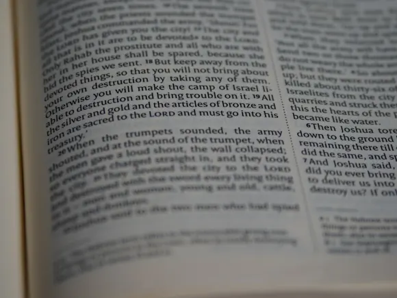 Casino Grand Eagle Suporte